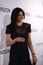 Sushmita Sen at Moet Hennesey launch of Chandon wines made now in India in Four Seasons, Mumbai on 19th Oct 2013